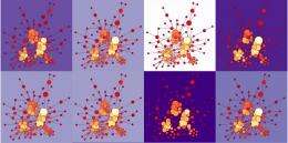 Facebook (and systems biologists) take note: Network analysis reveals true connections