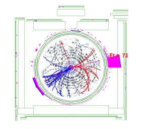 Fermilab collider experiments discover rare single top quark