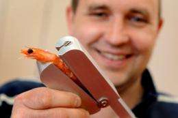 Frenchman Dimitri Gauer poses with his invention, the 'crustacean peeler'