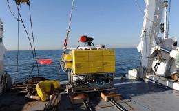 French Research Institute for Exploitation of the Sea (IFREMER) team prepares to put in water the robot BOB