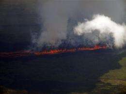 Galapagos volcano erupts, could threaten wildlife (AP)