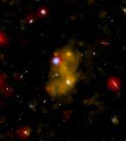 Galaxies coming of age in cosmic blobs