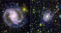 Galaxies Demand a Stellar Recount