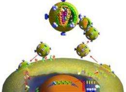 Gene Hijacked By HIV Ancestor Suggests New Way to Block Viral Reproduction