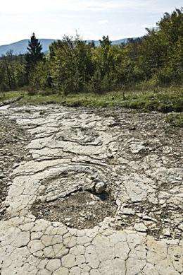 Giant dinosaur footprints site discovered in April