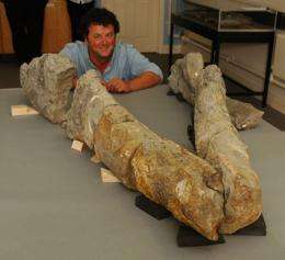 Giant Skull of Pliosaur 'Sea Monster' Unearthed in England