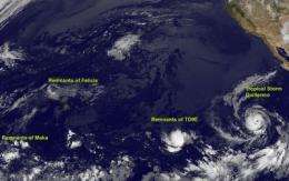 GOES-11 sees tropical cyclones fizzling and forming in the Eastern Pacific