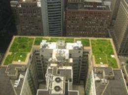 'Green' roofs may help put lid on global warming