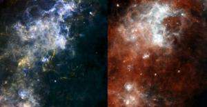 Herschel views deep-space pearls on a cosmic string