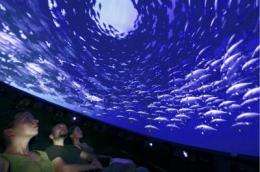 IBC 2009: Immersive Dome -- don't just watch, join the action