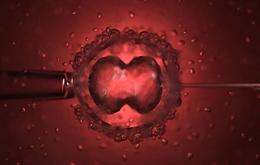 识别的新陈代谢健康的胚胎可以改善不孕治疗