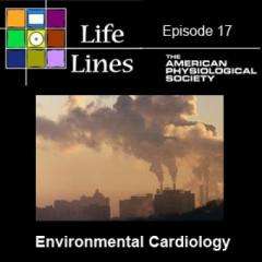 Inhaling a heart attack: How air pollution can cause heart disease