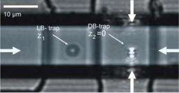 Integrated optical trap holds particles for on-chip analysis