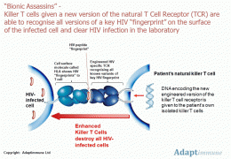 New Cellular Therapy for HIV in World's First Engineered T Cell Receptor Trial