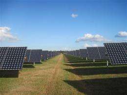 Largest solar panel plant in US rises in Fla. (AP)