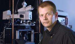 Light-absorbing nanowires may make better solar panels