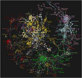 Los Alamos researchers create 'map of science'