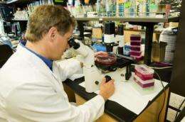 Major improvements made in engineering heart repair patches from stem cells