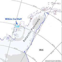 Map showing the Wilkins Ice Shelf in Antarctica