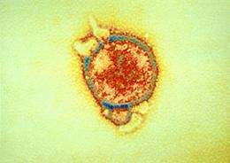 Minimising the spread of deadly Hendra virus