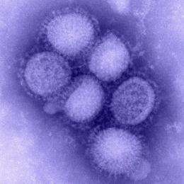 MIT and CDC discover why H1N1 flu spreads inefficiently