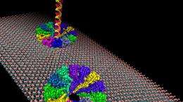 Nanotech researchers develop artificial pore
