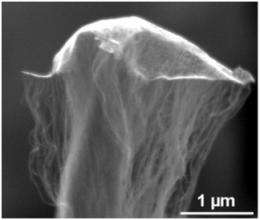 Nanotubes take flight: Sscientists use nanomaterials to grow flying carpets, 'odako' kites