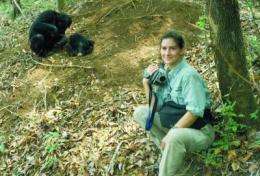 New evidence: AIDS-like disease in wild chimpanzees