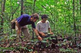 New guide to tropical seedlings: Essential to climate change research