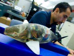 New robots mimic fish's swimming