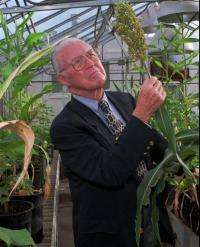 Nobel Peace Prize winner Norman Borlaug dies at 95 (AP)