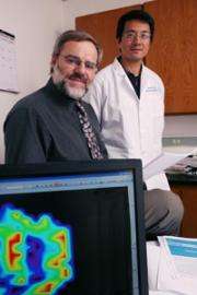 Oxygen + MRI might help determine cancer therapy success, researchers find