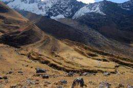 Peruvian glacial retreats linked to European events of Little Ice Age