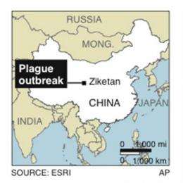 Plague patient 'near death' in remote Chinese town (AP)