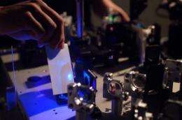 Pliable proteins keep photosynthesis on the light path