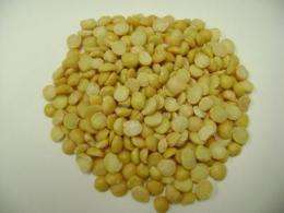 Proteins from garden pea may help fight high blood pressure, kidney disease