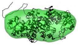 Protein structures revealed at record pace
