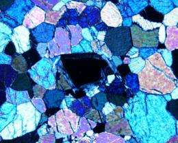 Prussian blue linked to the origin of life