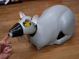 Rat-shaped robot