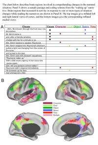 Readers build vivid mental simulations of narrative situations, brain scans suggest