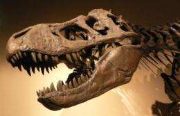 Reexamination of T. rex verifies disputed biochemical remains