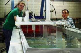 Research Analyzes Flow Structure Under Breaking Waves