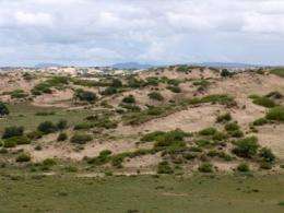 Sand dunes reveal unexpected dryness during heavy monsoon