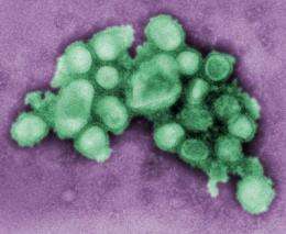 Scientists link influenza A (H1N1) susceptibility to common levels of arsenic exposure