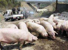 Scramble to stop swine flu spread among travelers (AP)