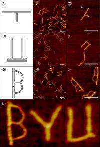 Spelling B-Y-U with DNA