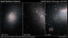 Starbursts in Dwarf Galaxies are a Global Affair