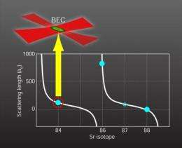 Strontium 84 -- just right for forming a Bose-Einstein condensate