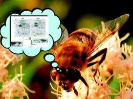 The biochemical buzz on career changes in bees