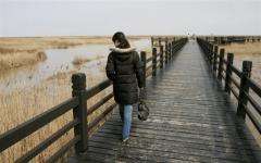 The bird sanctuary facilities built on the wetlands surrounding the Dongtan Eco-City project on Chongming Island